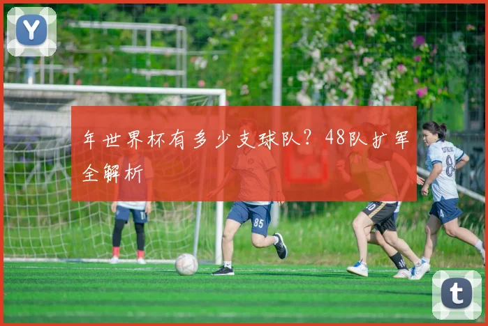 年世界杯有多少支球队？48队扩军全解析