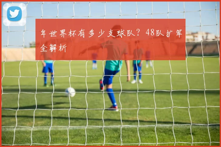 年世界杯有多少支球队？48队扩军全解析